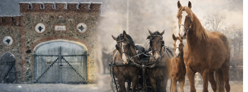 Muuseumiöö Tori Hobusekasvanduses